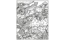 Thumbnail of animals-magic-painting-book_208274.jpg