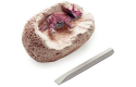 Thumbnail of archeological-excavations--dinosaur--1-piece_782556.jpg