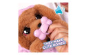 Thumbnail of baby-paws---cocker_837549.jpg