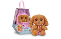 Thumbnail of baby-paws---cocker_837552.jpg