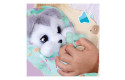 Thumbnail of baby-paws---husky_837553.jpg