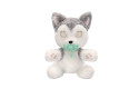 Thumbnail of baby-paws---husky_837554.jpg
