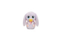 Thumbnail of baby-paws---just-born---bunny_805151.jpg