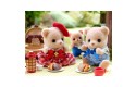 Thumbnail of biscuit-bear-delicious-picnic-set---sylvanian-families_791860.jpg