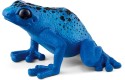 Thumbnail of blue-poison-dart-frog-14864_424832.jpg