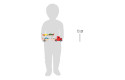 Thumbnail of car-transporter-by-small-foot_846539.jpg