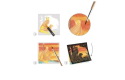 Thumbnail of djeco---watercolour-workshops---backlighting_819544.jpg