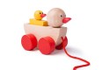 Thumbnail of duck-and-duckling--bj770_695478.jpg