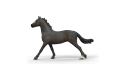 Thumbnail of english-thoroughbred-mare-14914_849896.jpg