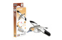 Thumbnail of eugy-gannet_849823.jpg
