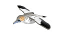 Thumbnail of eugy-gannet_849824.jpg