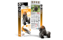 Thumbnail of eugy-gorilla_375164.jpg