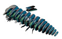 Thumbnail of eugy-koko-tui_849804.jpg