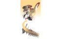 Thumbnail of eugy-raptor_305000.jpg