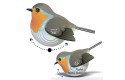 Thumbnail of eugy-robin---wobbly_781616.jpg