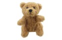 Thumbnail of finger-puppet---teddy-bear_775122.jpg
