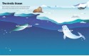 Thumbnail of first-sticker-book-ocean-animals_821650.jpg