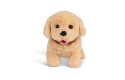 Thumbnail of flipping-puppy-labrador-dog_725505.jpg