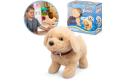 Thumbnail of flipping-puppy-labrador-dog_725506.jpg