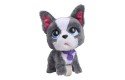 Thumbnail of furreal-walk-a-lots-french-bulldog_693351.jpg