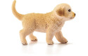 Thumbnail of golden-retriever-puppy-16396_599157.jpg
