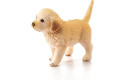 Thumbnail of golden-retriever-puppy-16396_599158.jpg