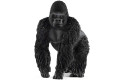 Thumbnail of gorilla--male-14770_731892.jpg