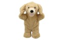 Thumbnail of labrador--yellow--walking-puppets-pc006208_296598.jpg