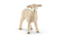 Thumbnail of lamb_200406.jpg