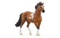 Thumbnail of mangalarga-marchador-stallion-13978_836972.jpg
