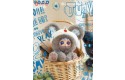 Thumbnail of migo-fairy-tale-secret-plush-pendant_791392.jpg