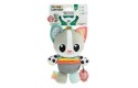 Thumbnail of millie-the-cat_685703.jpg