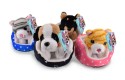 Thumbnail of plush-cats---dogs-in-basket_786506.jpg