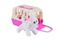 Thumbnail of plush-dog-in-carry-case_678858.jpg