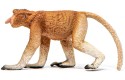 Thumbnail of proboscis-monkey-14846_239268.jpg
