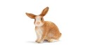 Thumbnail of rabbit-in-pouch-13827_792795.jpg