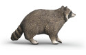 Thumbnail of racoon-14937_809092.jpg