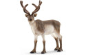 Thumbnail of reindeer-14837_599334.jpg
