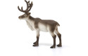 Thumbnail of reindeer-14837_599335.jpg