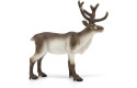 Thumbnail of reindeer-14837_599336.jpg