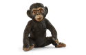 Thumbnail of schleich---chimpanzee-cub_775117.jpg