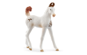 Thumbnail of schleich---marwari-foal_775077.jpg