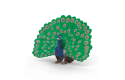 Thumbnail of schleich---peacock-14926_840642.jpg