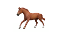 Thumbnail of schleich-english-thoroughbred-stallion_849889.jpg