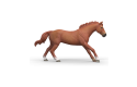 Thumbnail of schleich-english-thoroughbred-stallion_849890.jpg