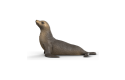 Thumbnail of sea-lion_849879.jpg