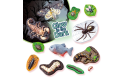 Thumbnail of ses-creative---casting-and-painting---scary-animals_828423.jpg