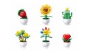 Thumbnail of sluban---potted-plants---assorted_789265.jpg