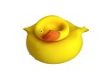Thumbnail of stretch--n-smash-grumpy-duck_786303.jpg