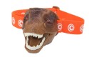 Thumbnail of t-rex-head-torch-by-brainstorm_694959.jpg